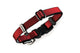 Everyday Collar for Small Dogs