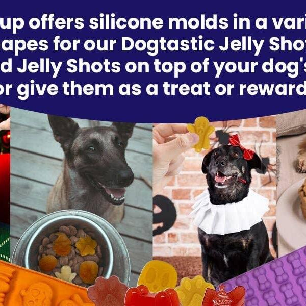 Dogtastic Jelly Shots - Mango Flavor - Rocky & Maggie's Pet Boutique and Salon