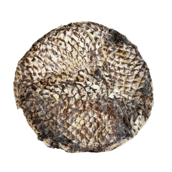 Furs-Bee Tilapia Dog Treat Disc