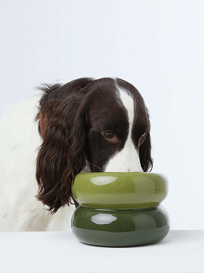 Soufflé Pet Bowl - Avocado Green - Rocky & Maggie's Pet Boutique and Salon