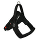 Primo Plus Harness
