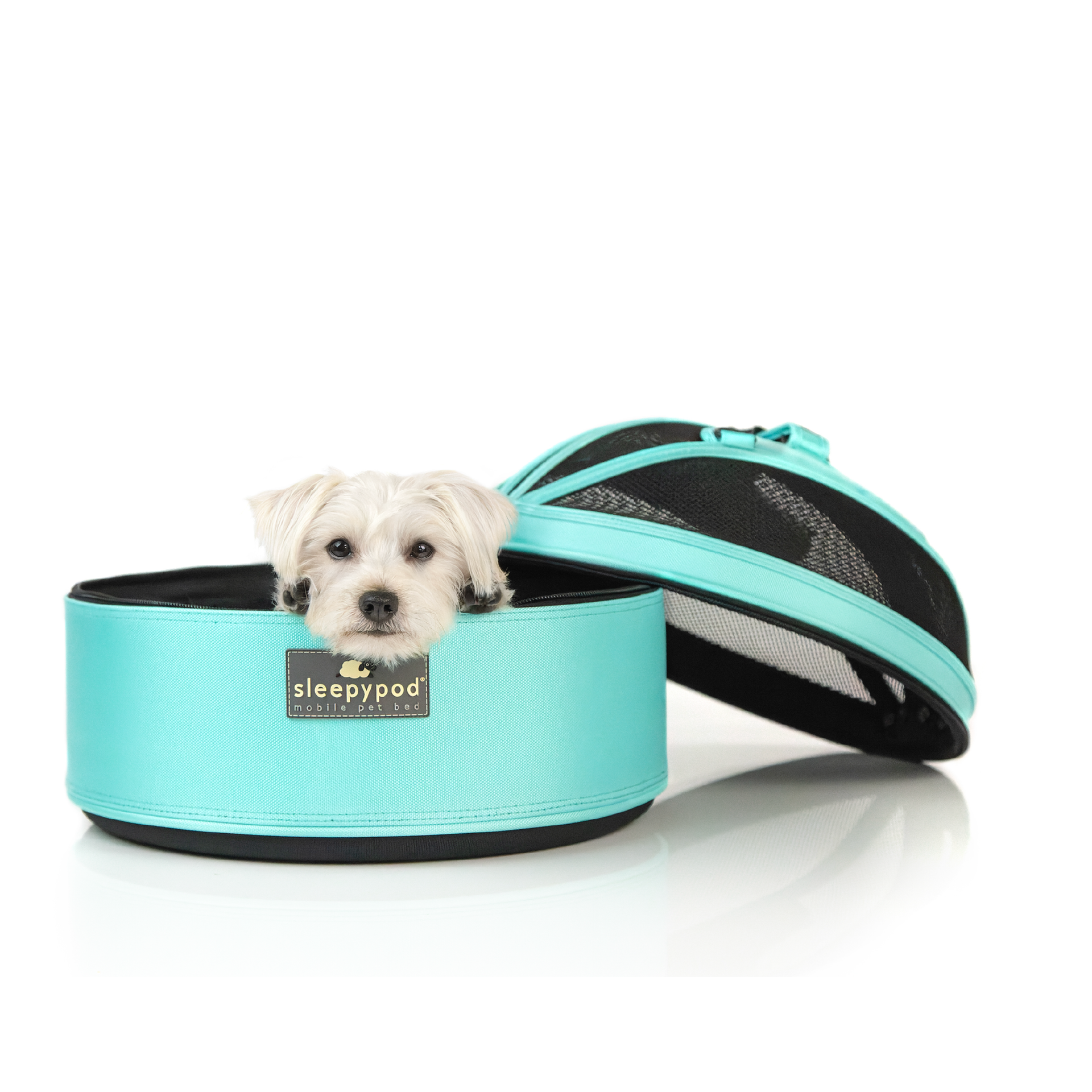 Sleepypod Mobile Pet Bed – Rocky & Maggie's