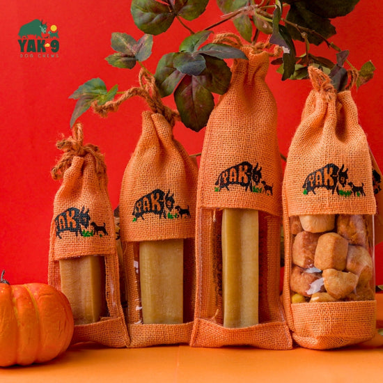Yak9 Chews Pumpkin Himalayan Cheese Chew