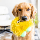 West Paw Rolf Durable Plush Toy - view 6
