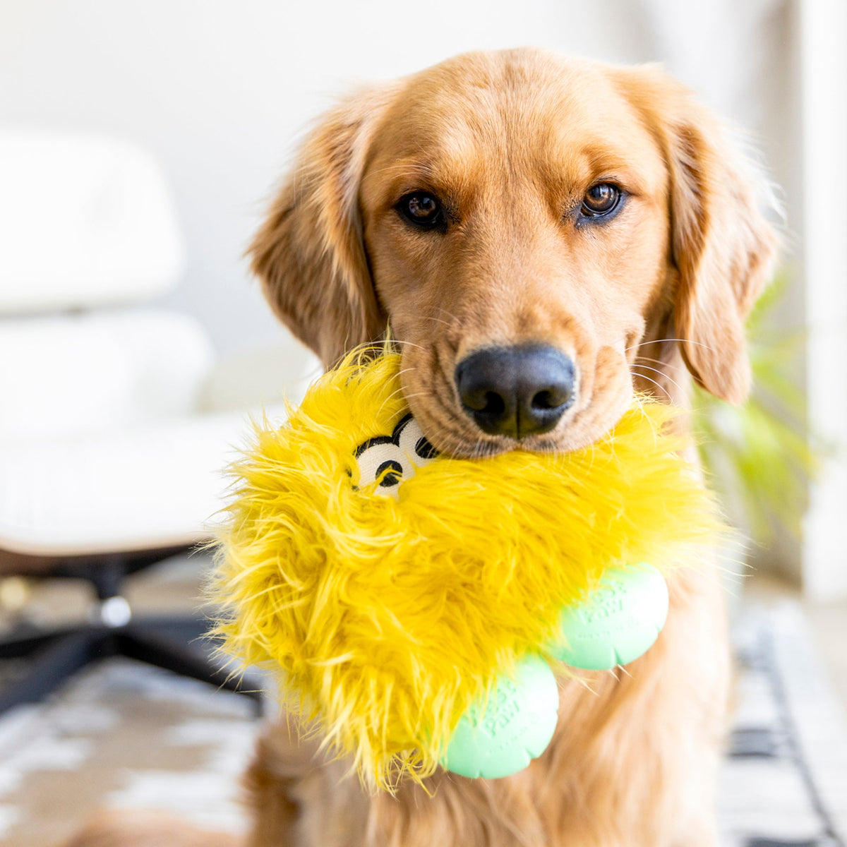 West Paw Rolf Durable Plush Toy - view 6