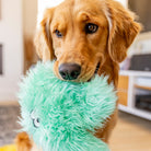 West Paw Helga Durable Plush Toy - view 6