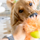 West Paw Olaf Durable Plush Toy - view 7