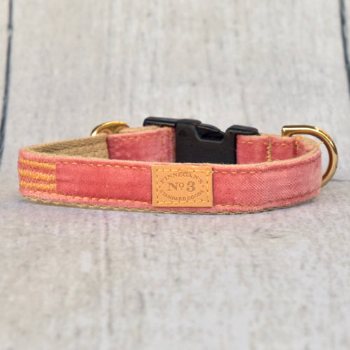 Pretty Pink Velvet Collar