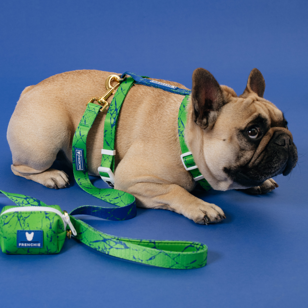 Frenchie Comfort Leash Green Marble – Rocky Maggie's Pet