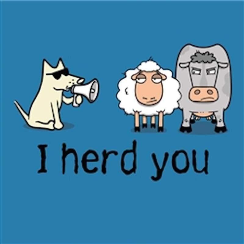 I Herd You - Ladies T-Shirt V-Neck - Rocky & Maggie's Pet Boutique and Salon