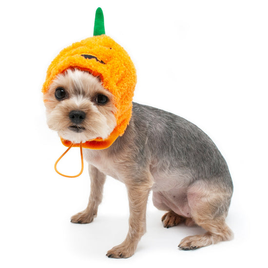 Dogo Pet Jack-O Dog Costume Hat