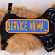 Service Animal 2x6 Patch