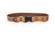 Celtic Sport Quick-Release Leather Dog Collar