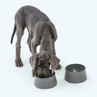 West Paw Non-Slip Dog Bowl - view 4