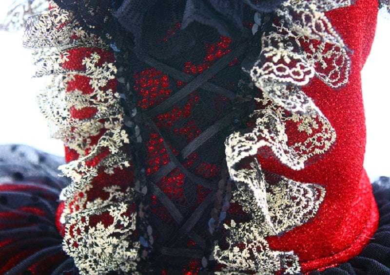 Victorian-Inspired Red and Black Lace Dog Trailing Dress Gothic Pet Gown Clinoline XS Victorian-Inspired Red and Black Lace Dog Trailing Dress Gothic Pet Gown Clinoline XS