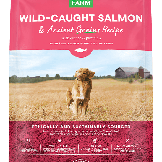 Open Farm Salmon Ancient Grain Dog Kibble - Rocky & Maggie's Pet Boutique and Salon