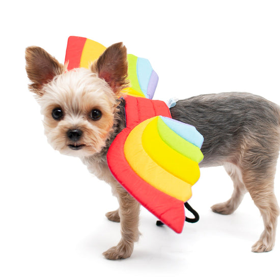 Dogo Pet Rainbow Pet Costume Wings