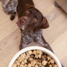 West Paw Trout & Beef Dog Food Topper - view 5