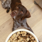 West Paw Chicken Dog Food Topper - view 5