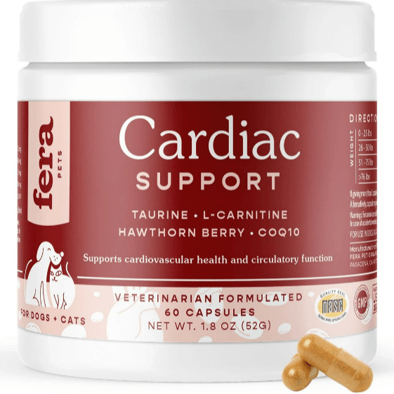Cardiac Support for Dogs and Cats - Rocky & Maggie's Pet Boutique and Salon