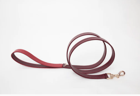 La Dorada Dog Leash - Rocky & Maggie's Pet Boutique and Salon