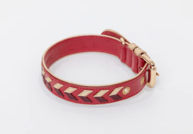 La Dorada Dog Collar - Rocky & Maggie's Pet Boutique and Salon