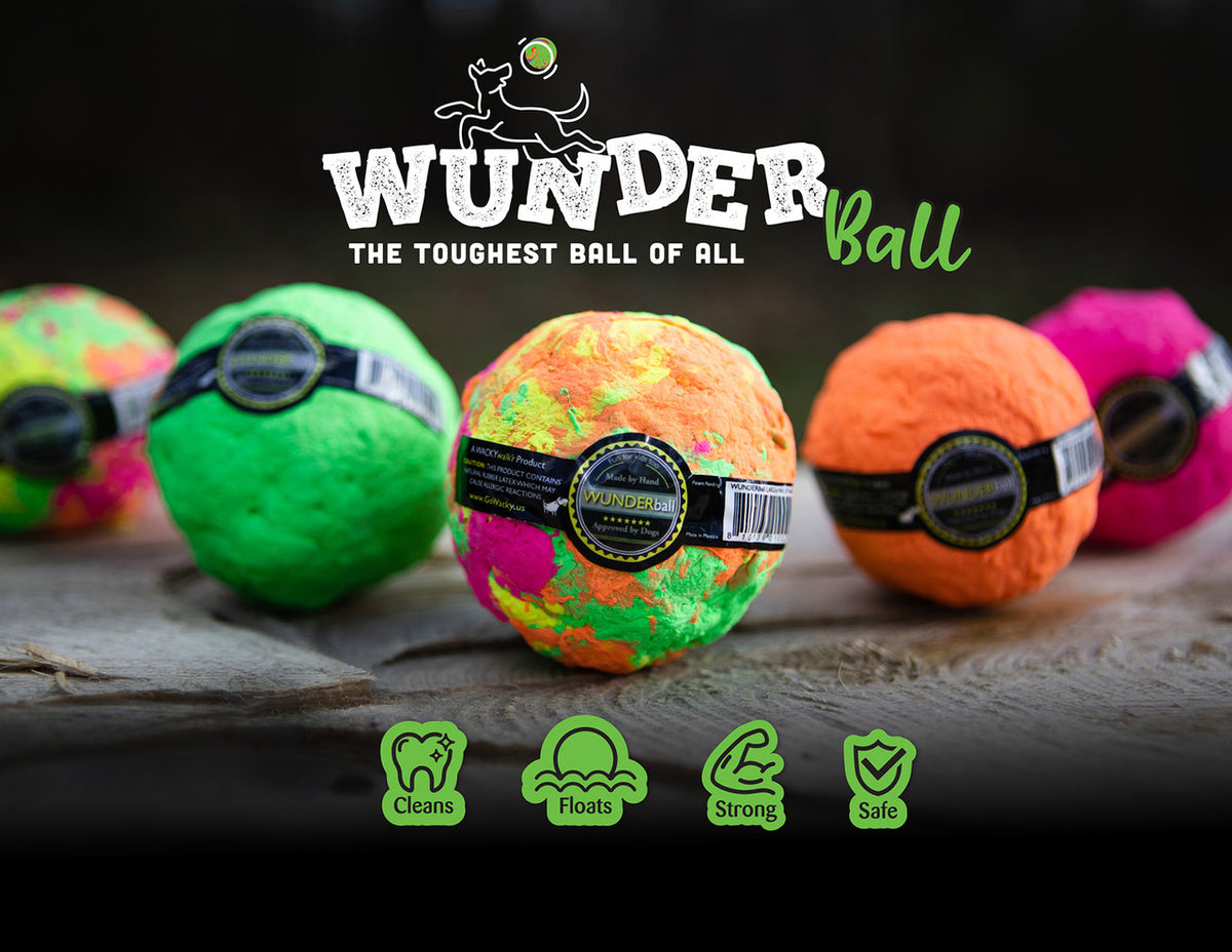 WUNDERball – Rocky & Maggie's