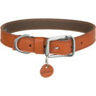 TIMBERLINE™ COLLAR - Rocky & Maggie's Pet Boutique and Salon