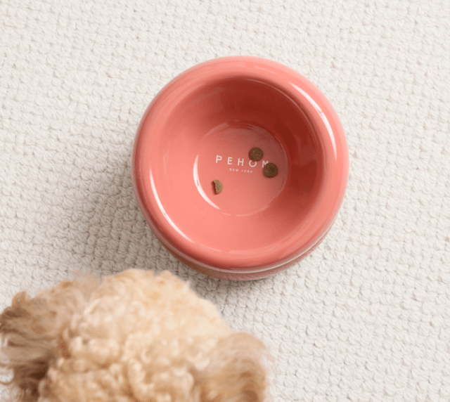 Soufflé Pet Bowl - Rose Pink - Rocky & Maggie's Pet Boutique and Salon