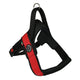 Primo Plus Harness