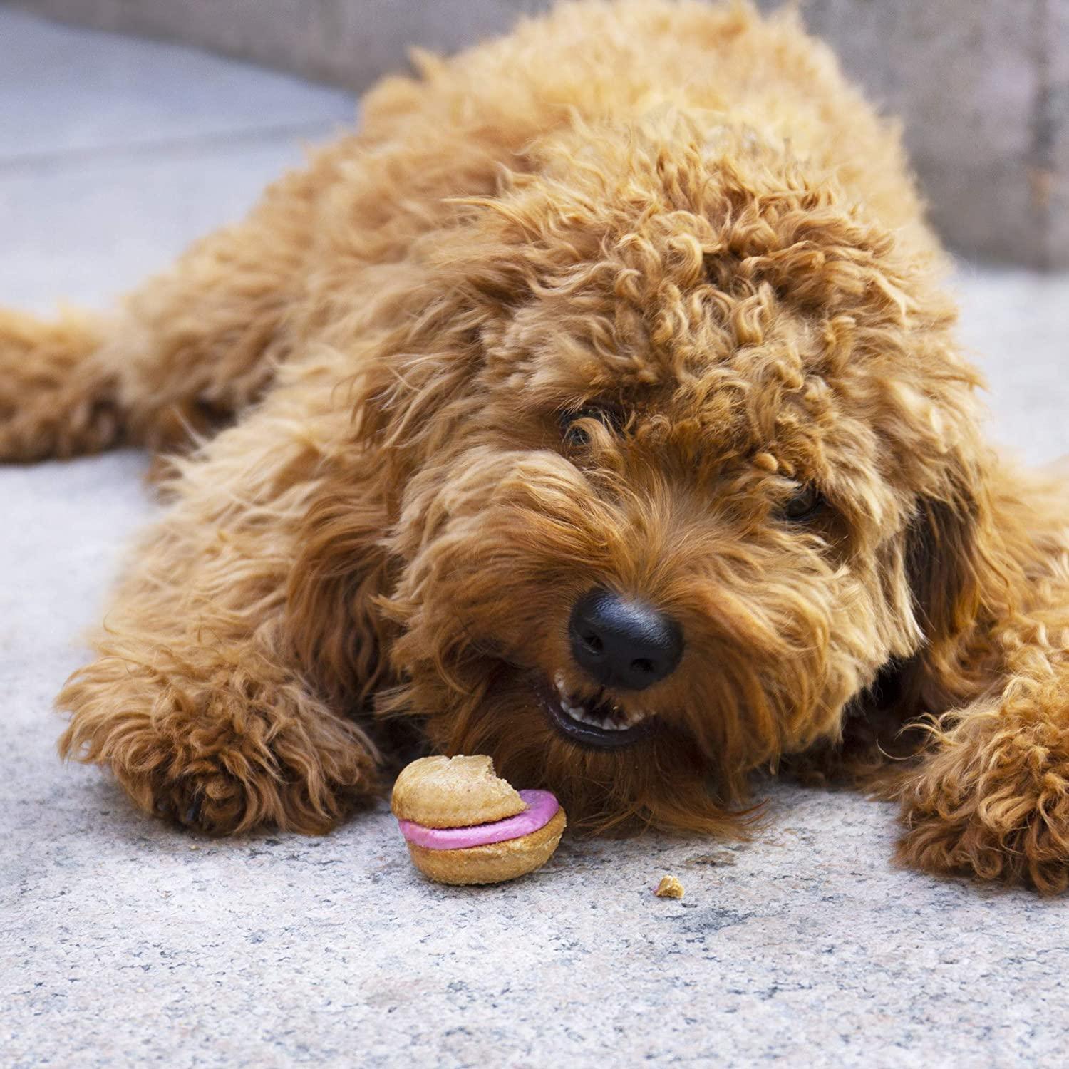 Crème Brûlée Dog Macarons (Single) - Rocky & Maggie's Pet Boutique and Salon