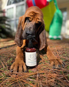 Spray Cologne For Dogs - Acadia - National Park Series - Rocky & Maggie's Pet Boutique and Salon