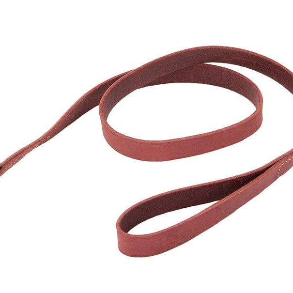 Circle T® Rustic Leather Dog Leash - Rocky & Maggie's Pet Boutique and Salon