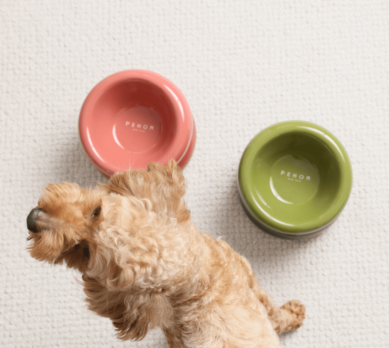 Soufflé Pet Bowl - Rose Pink - Rocky & Maggie's Pet Boutique and Salon