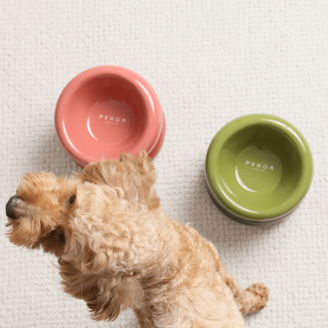 Soufflé Pet Bowl - Amber Orange - Rocky & Maggie's Pet Boutique and Salon