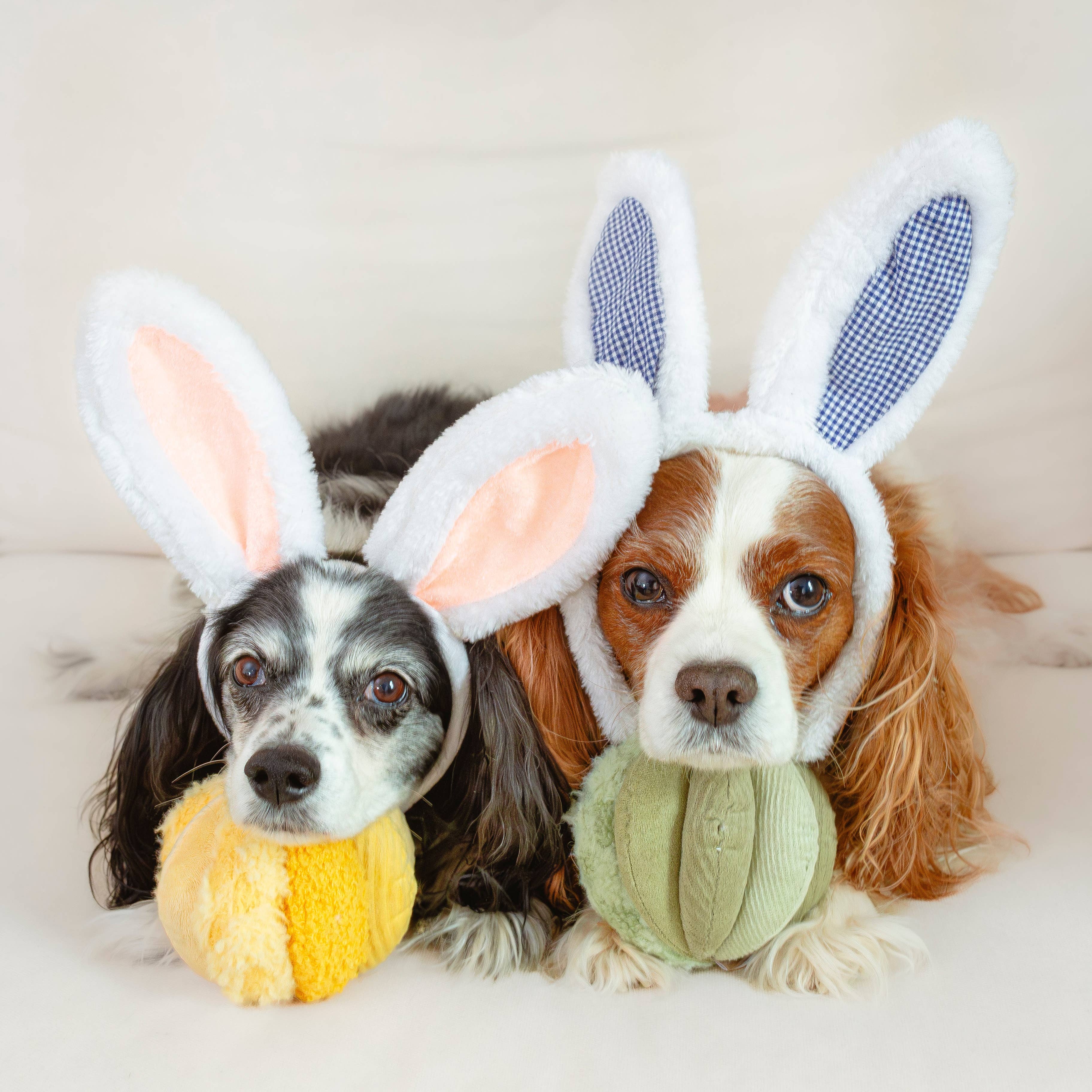 TOTO Snuffle Smaller Ball – Rocky & Maggie's