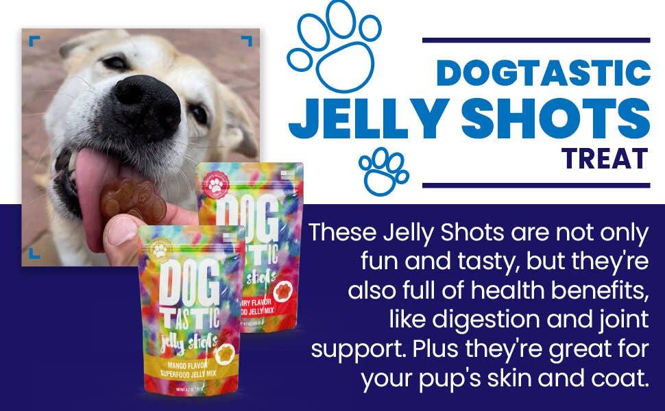 Dogtastic Jelly Shots - Mango Flavor - Rocky & Maggie's Pet Boutique and Salon