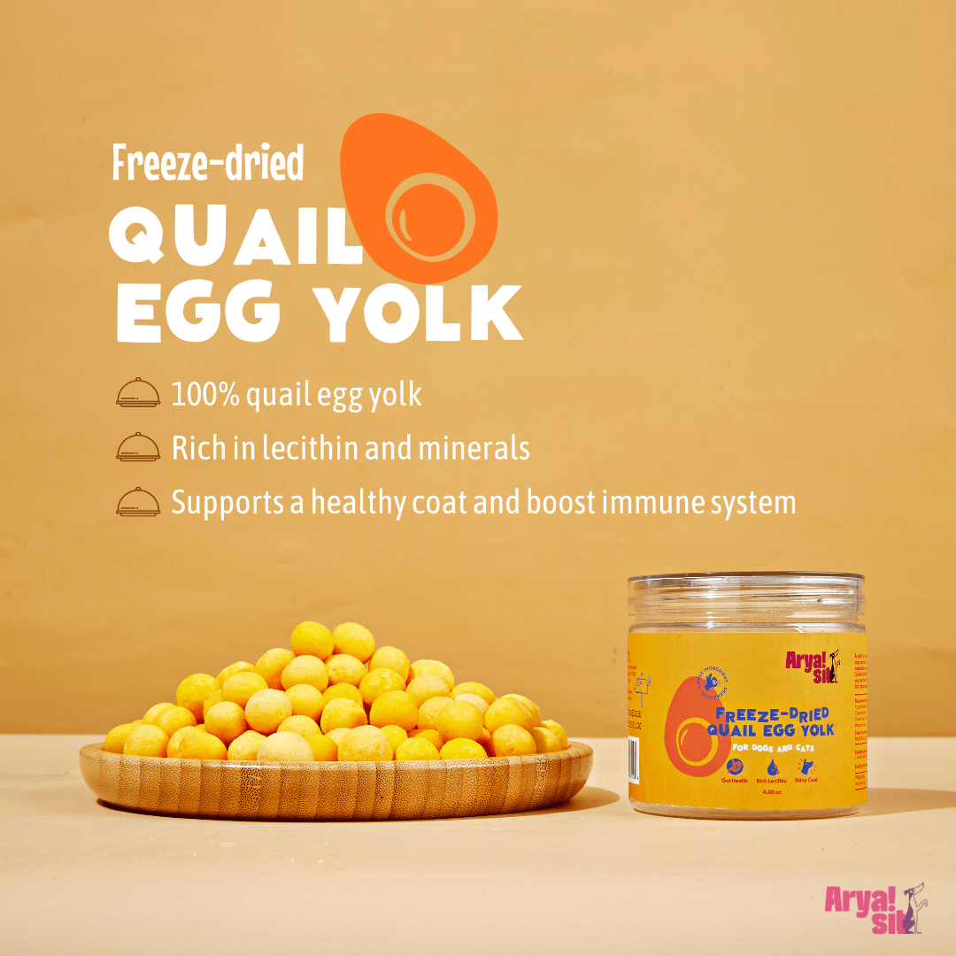 Arya Sit - Freeze-Dried Egg Yolk - Rocky & Maggie's Pet Boutique and Salon