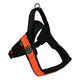 Primo Plus Harness
