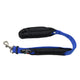 Double Handle Leash