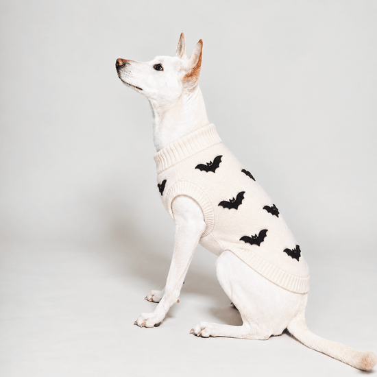 Found My Animal Bat Dog Sweater