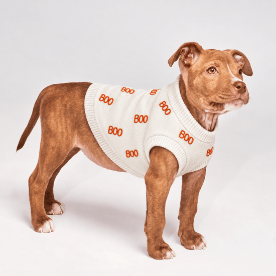 Found My Animal BOO Dog Sweater