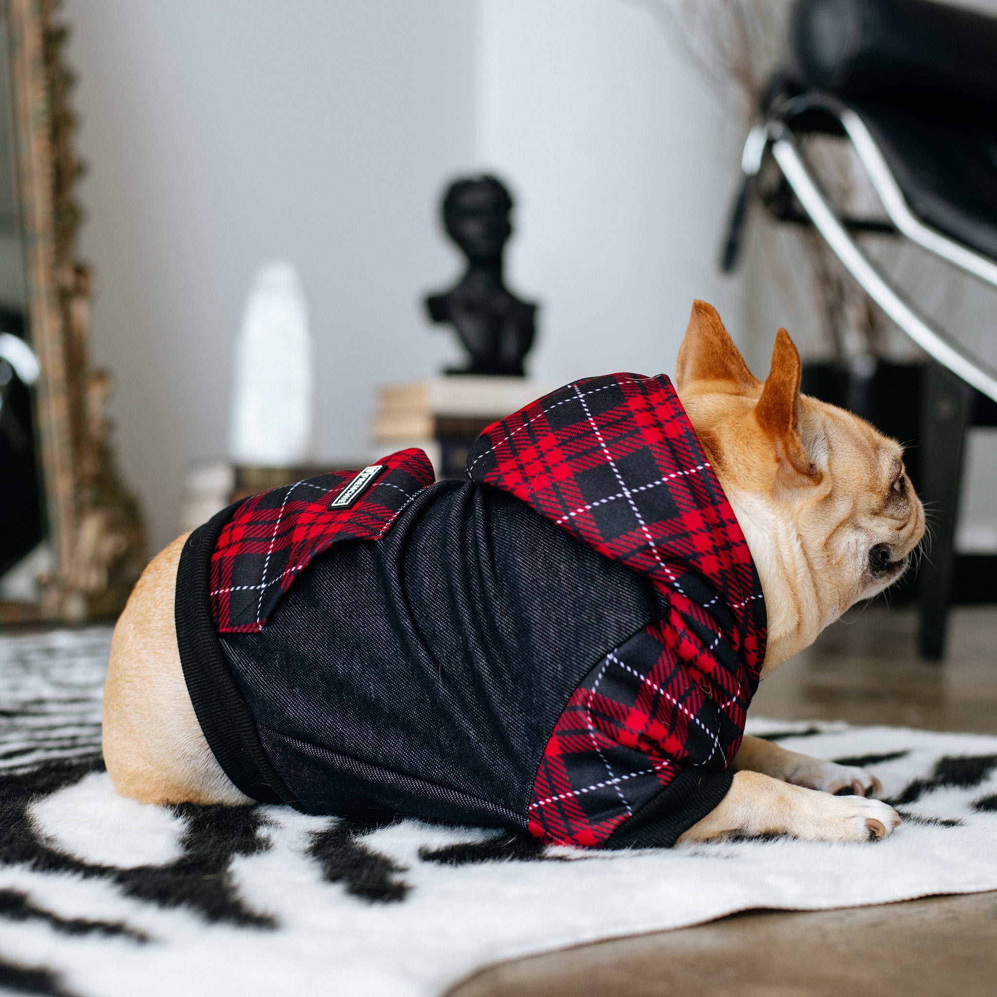 Frenchie Dog Hoodie Red Tartan – Rocky Maggie's Pet Grooming