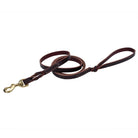 Circle T® Latigo Leather Twist Dog Leash with Solid Brass Hardware - Rocky & Maggie's Pet Boutique and Salon