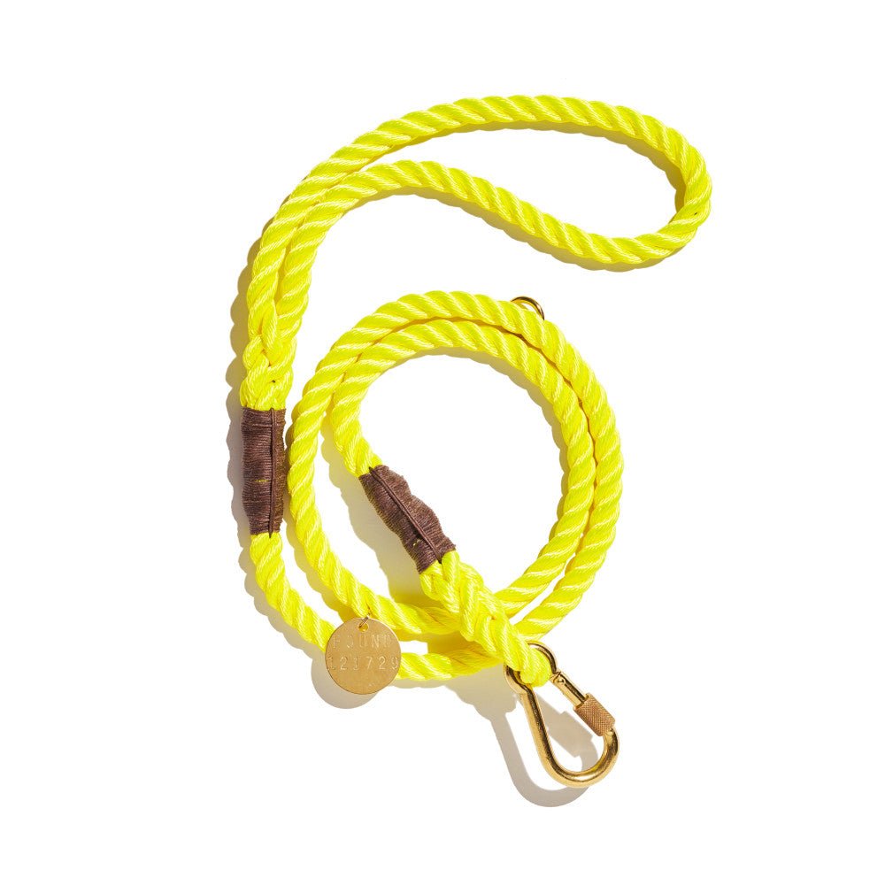 Neon Yellow Rope Leash, Standard – Rocky & Maggie's | Pet Grooming, Dog ...