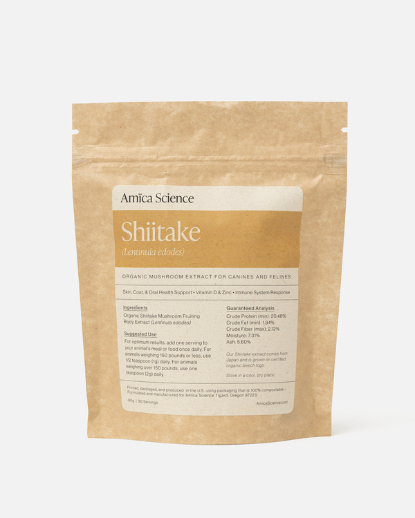Shiitake