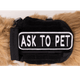 Ask to Pet 2x6 Patch