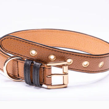 Strapets Signature dog collar - Brown Leather - Rocky & Maggie's Pet Boutique and Salon