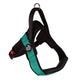 Primo Plus Harness