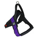 Primo Plus Harness